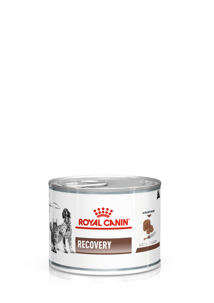 کنسرو غذای سگ و گربه رویال کنین ریکاوری ROYAL CANIN RECOVERY