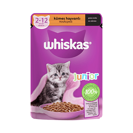 پوچ بچه گربه ویسکاس طعم مرغ - Whiskas Kitten Pouch with chicken in Gravy