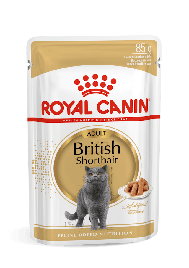  پوچ گربه انگلیسی بالغ رویال کنین در گروی ROYAL CANIN ADULT British in Gravy 