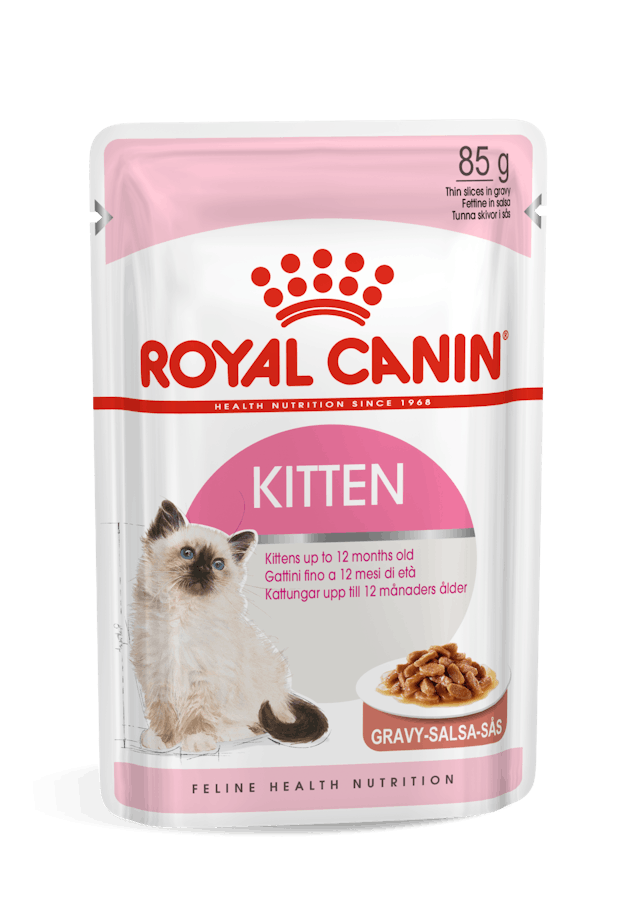  پوچ بچه گربه رویال کنین گروی ROYAL CANIN KITTEN Gravy 