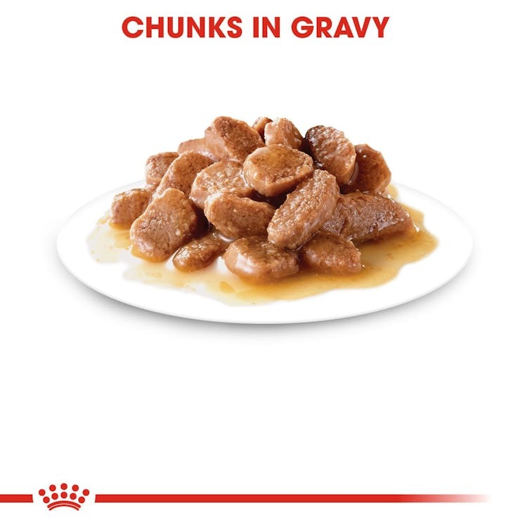  ROYAL CANIN INSTINCTIVE in Gravy 