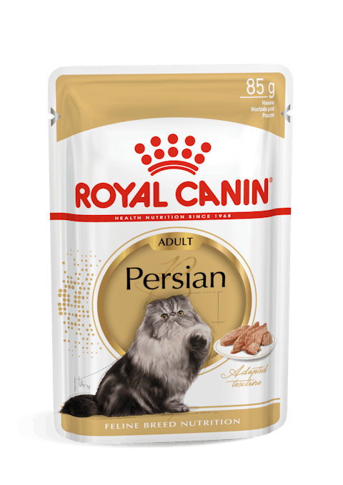  پوچ گربه پرشین رویال کنین ROYAL CANIN PERSIAN 