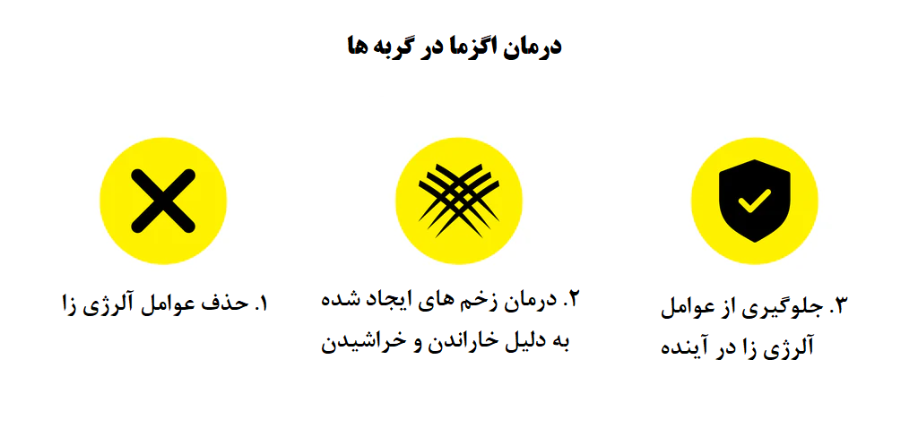 روش های درمان درماتیت گربه