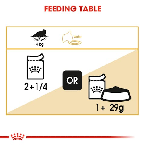  میزان مصرف پوچ گربه پرشین رویال کنین 