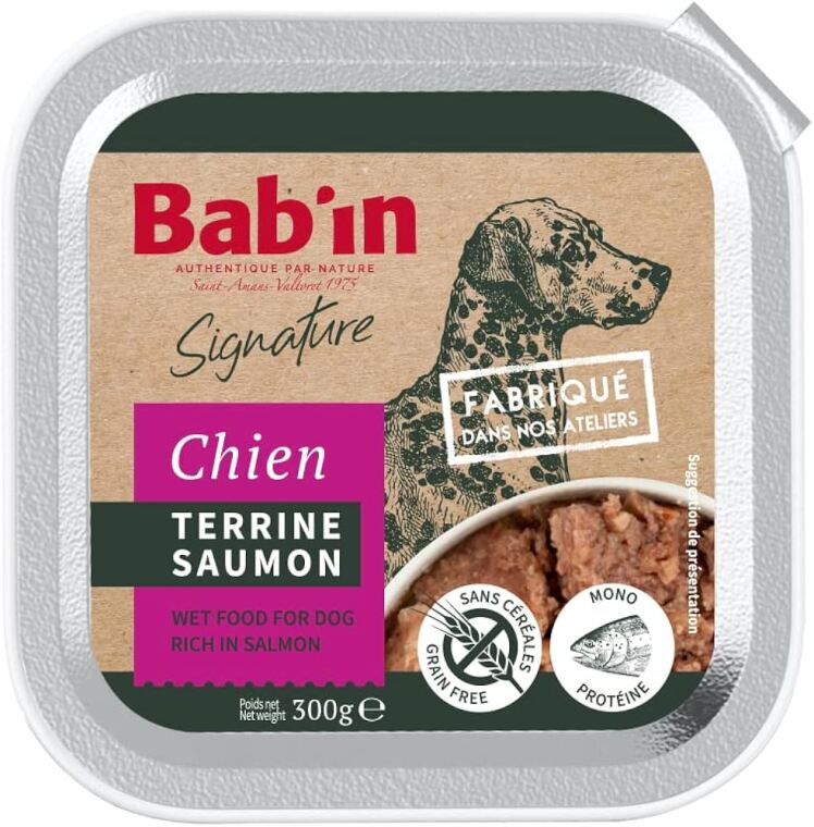 غذای کاسه ای سگ بالغ بابین با طعم ماهی سالمون - Babin Wet Food for Dog Rich in Salmon